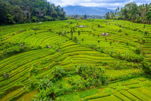 Program Studi Prodi Sekolah Vokasi Ipb Blog Mamikos