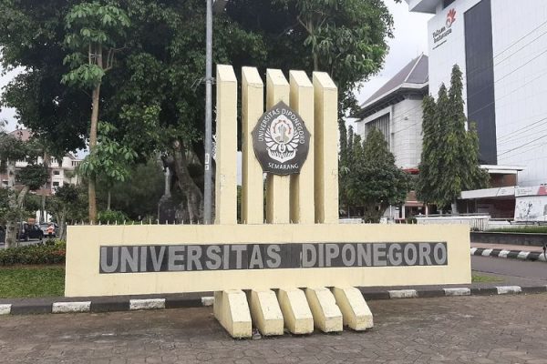 Berapa Standar Nilai UTBK UNDIP Agar Bisa Lulus Blog Mamikos