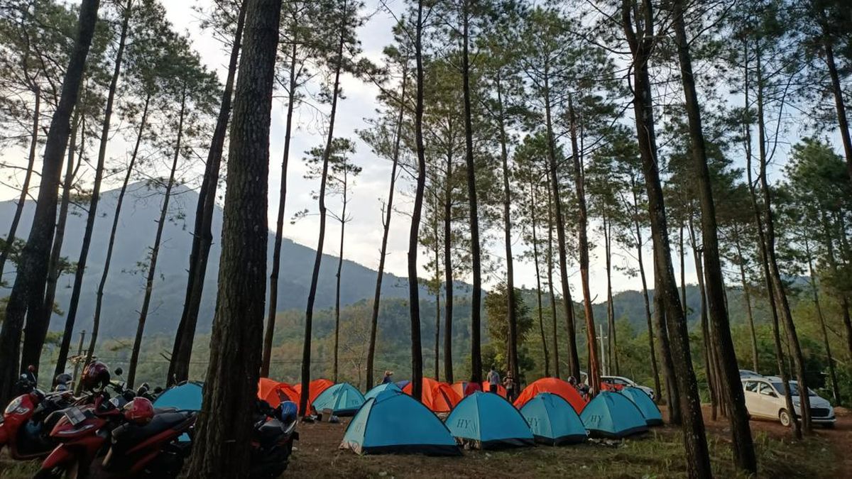 9 Wisata Pacet Mojokerto 2023 Yang Lagi Hits Liburan Damai Dengan