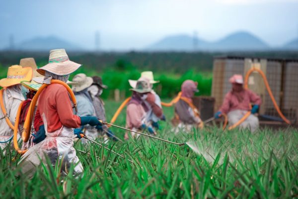 27 Contoh Pemberdayaan Masyarakat Di Berbagai Bidang Dan Penjelasannya