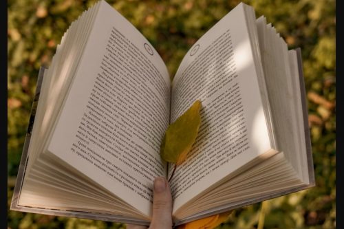 20 Contoh Kalimat Pernyataan dalam Bahasa Inggris beserta Artinya Lengkap