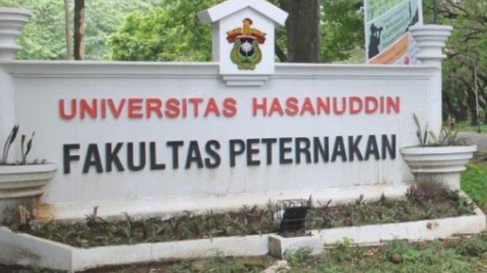 6 Universitas Dengan Jurusan Peternakan Terbaik – Blog Mamikos