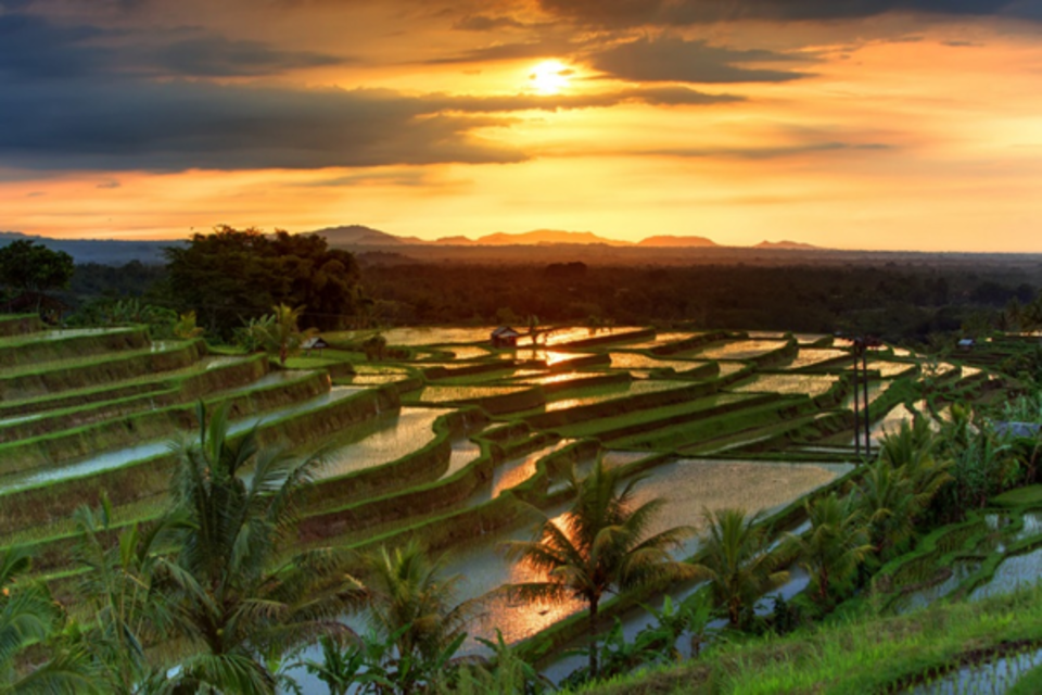 9 Contoh Kearifan Lokal Masyarakat Bali Beserta Keterangannya