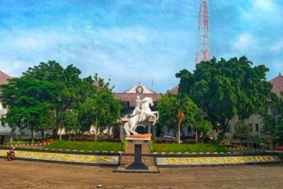 Daya Tampung SNBP SNBT UNDIP 2024-2025 dan Peminatnya Tiap Jurusan