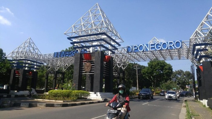 Cek Daya Tampung Dan Peminat Snmptn Undip Universitas Diponegoro Blog Mamikos