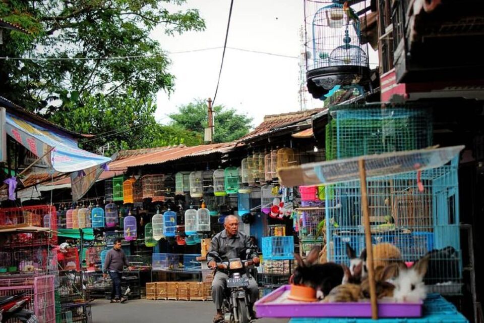 9 Wisata Malang Dekat Stasiun yang Instagramable