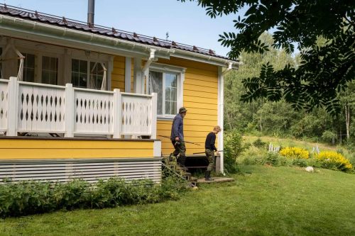 7 Macam-macam Bunga Cocok untuk Halaman Rumah Beserta Gambarnya Lengkap