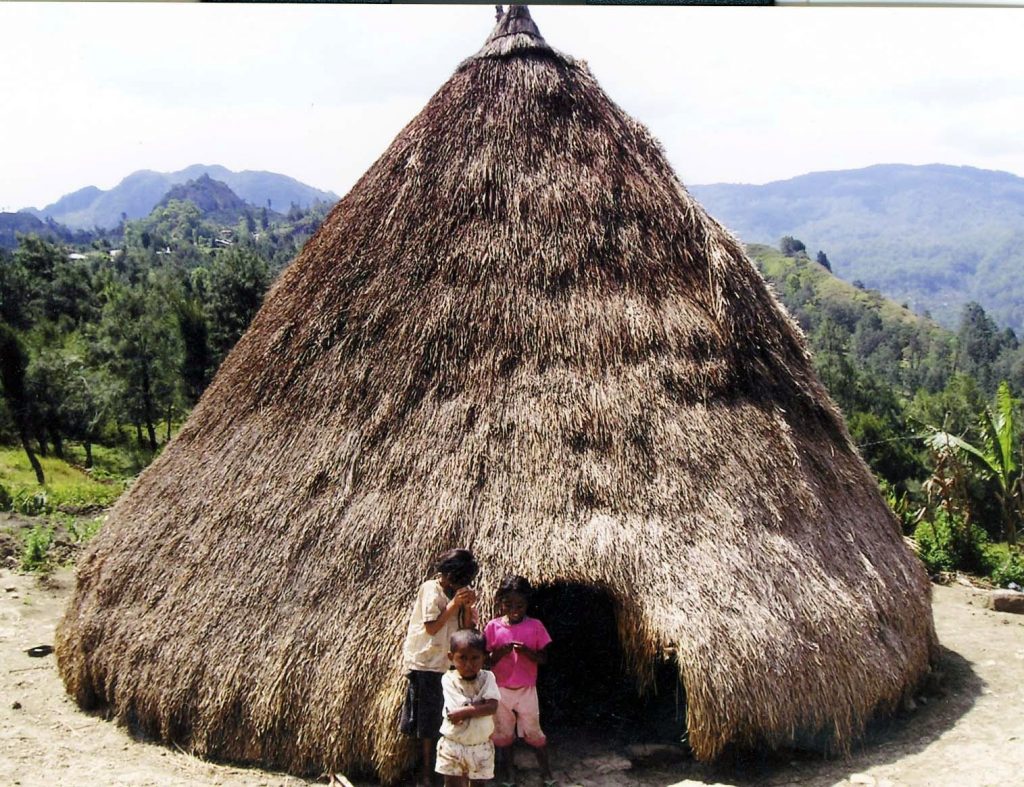 Rumah Adat Nusa Tenggara Timur “Musalaki”