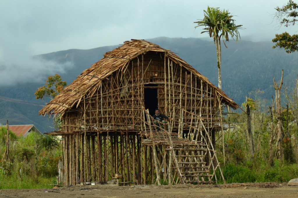 Rumah adat di papua dikenal dengan nama a lamin b. banjar c. honai d. musalaki