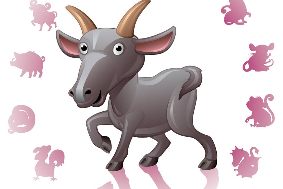 Зодиак год козы. Год козы. Коза по гороскопу. Восточный гороскоп коза. Знак зодиака козлина.