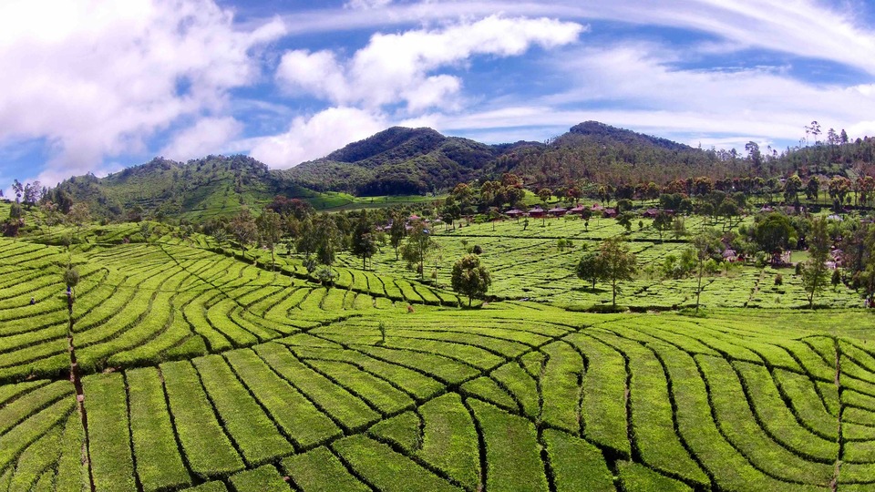 18 Spot Wisata Pangalengan Bandung Wajib Dikunjungi