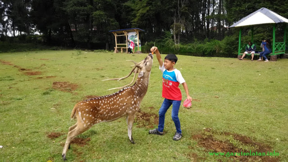 18 Spot Wisata Pangalengan Bandung Wajib Dikunjungi