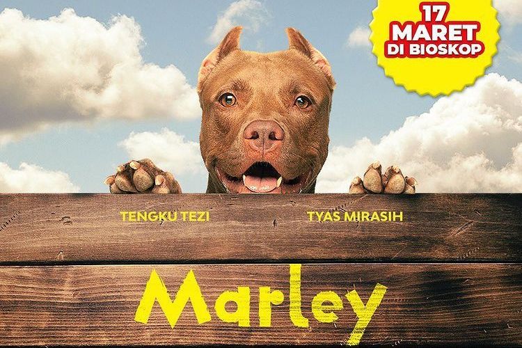 5. Marley (17 Maret 2022)