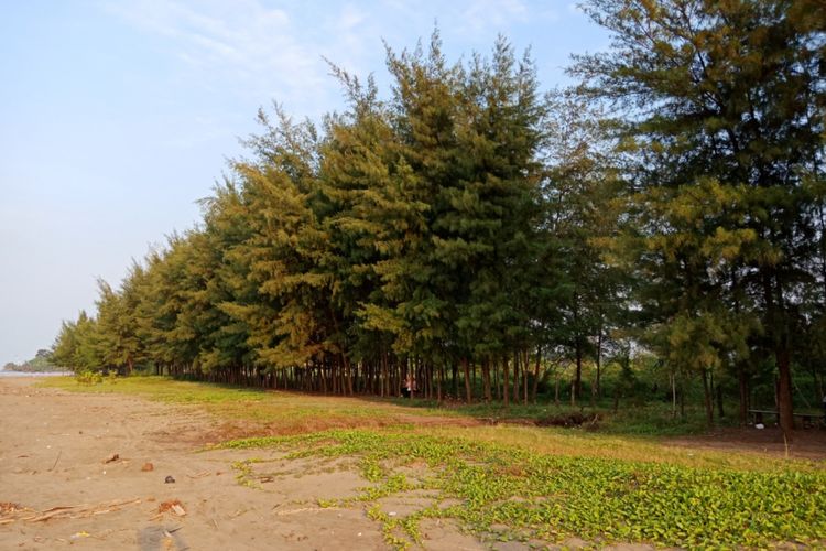 Pantai Cemoro Sewu