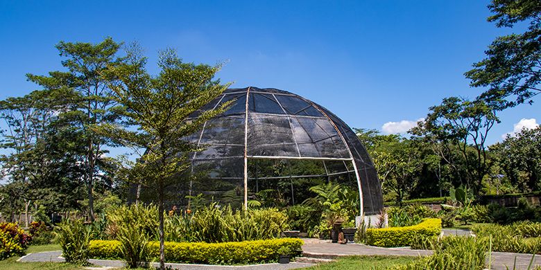 Kebun Raya Indrokilo Kemiri