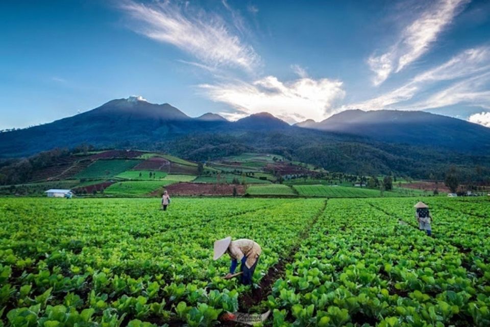 Wisata Alam Kota Batu - Perumperindo.co.id