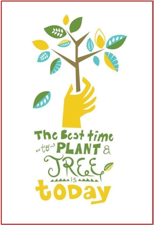 3. Poster Himbauan Menanam Pohon