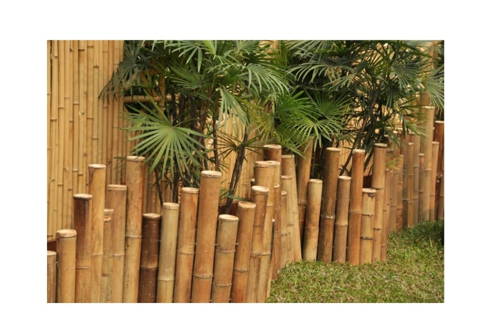 Ide Model Pagar Bambu Minimalis dan Sederhana﻿
