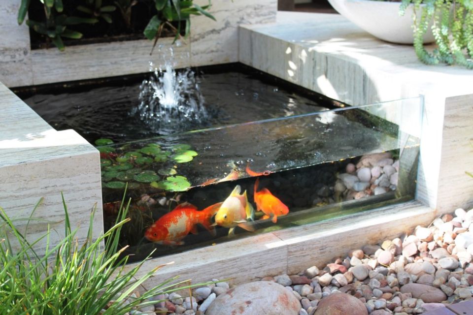 Inspirasi Desain Kolam Ikan Minimalis di Lahan Sempit Tapi Elegan dan Mewah 