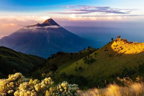 Kegiatan yang Dapat Menyebabkan Hilangnya Keanekaragaman Hayati Adalah?