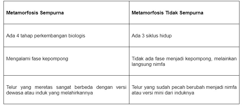 Perbedaan Tahapan Metamorfosis Yang Dialami Hewan A Dan B Adalah - Riset