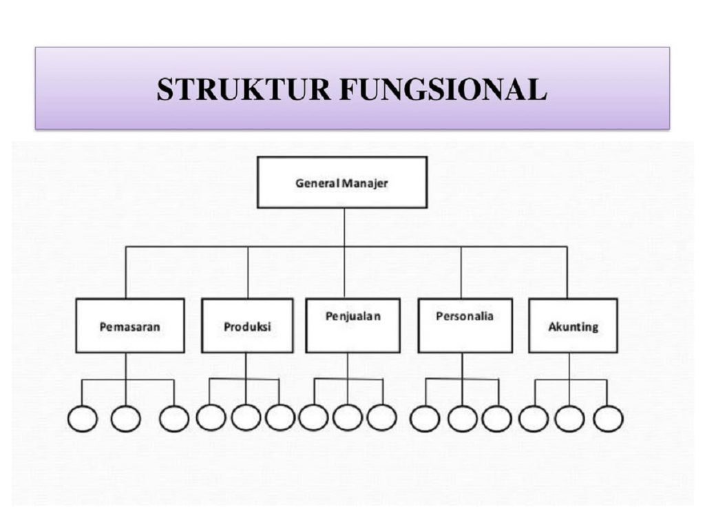 Struktur Organisasi Fungsional & Contohnya Pada Perusahaan