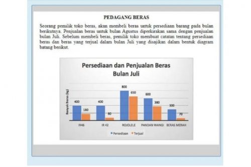 Contoh Soal Akm Literasi Dan Numerasi Lengkap Dengan Penjelasannya ...