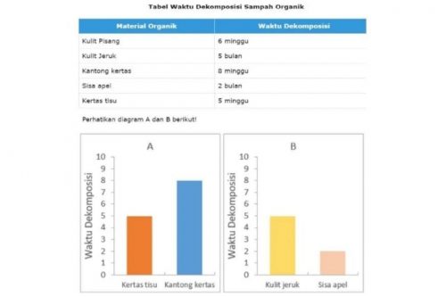 7 Contoh Soal AKM Literasi Dan Numerasi Beserta Jawabannya, Yuk ...