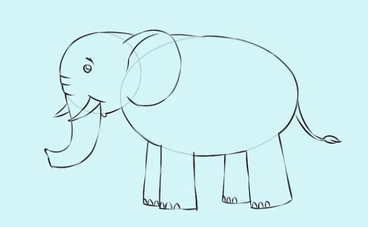 Gambar Ilustrasi Kartun Gajah