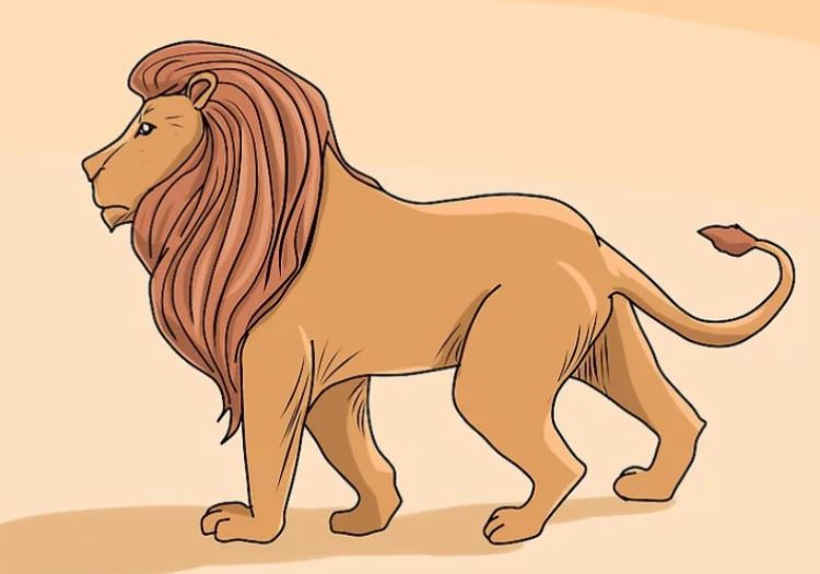 Gambar Ilustrasi Kartun Singa