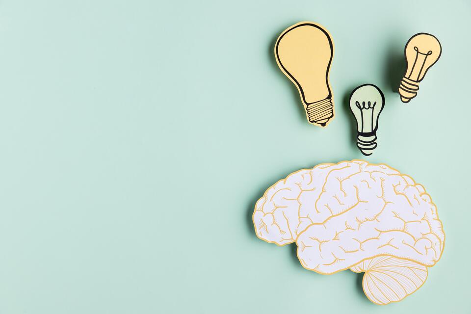 Contoh Penerapan Kognitif di Sekolah dan Dalam Kehidupan Sehari-Hari