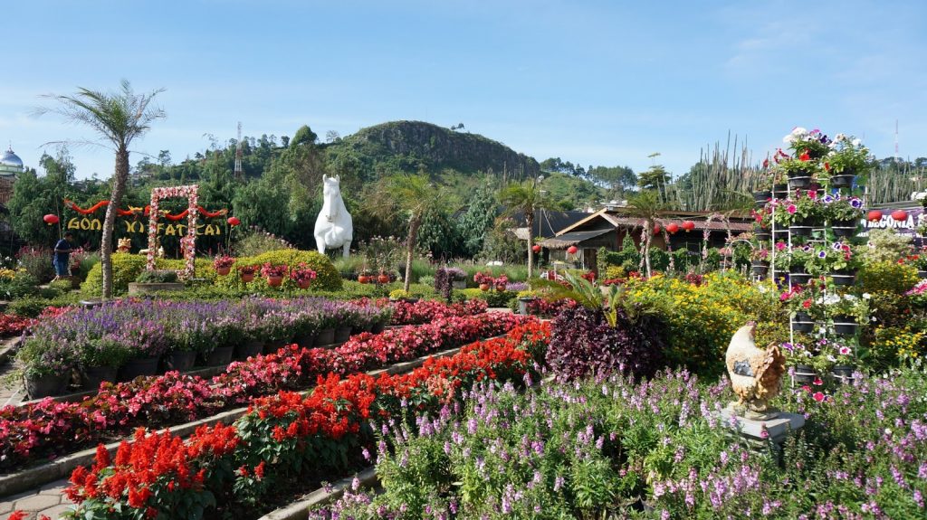 3. Kebun Begonia﻿