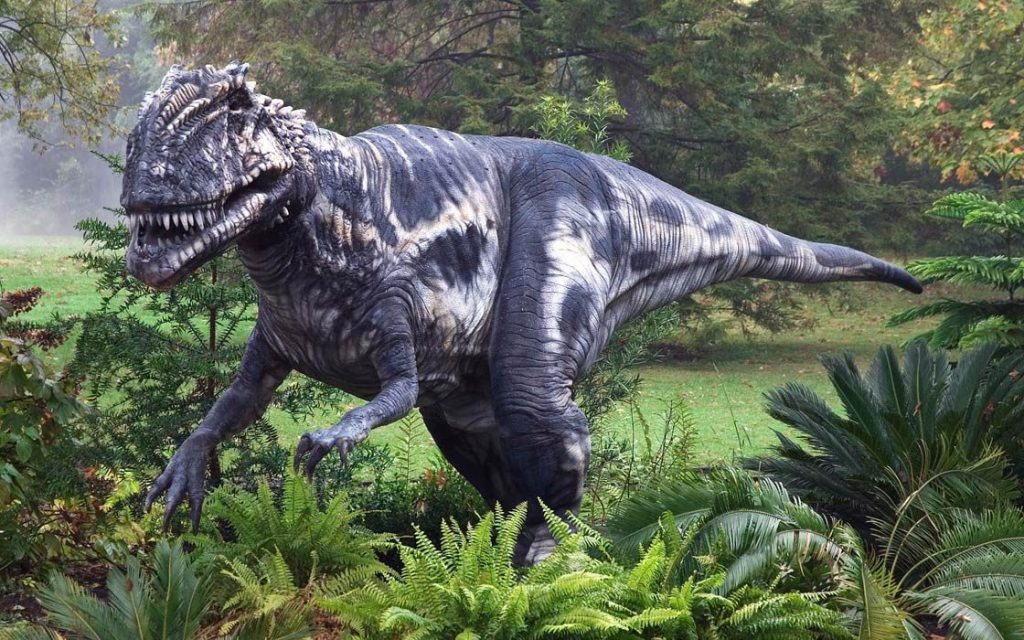 Megalosaurus﻿