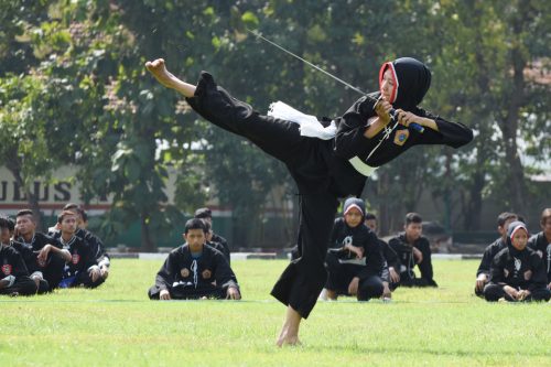 3 Macam-Macam Sikap Berdiri dalam Pencak Silat yang Harus Kamu Ketahui﻿