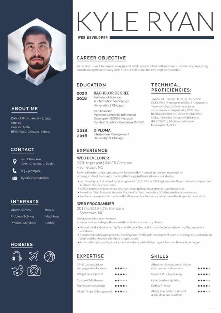 Contoh CV Web Designer