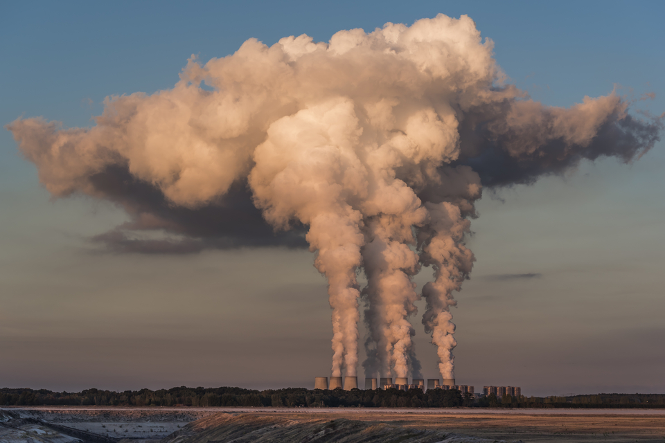 7 Dampak Pencemaran Lingkungan Bagi Hewan dan Tumbuhan yang Jarang Disadari