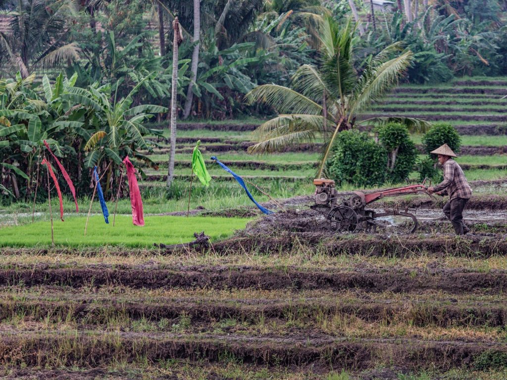 Faktor Hambatan Pengembangan Agrikultur di Indonesia