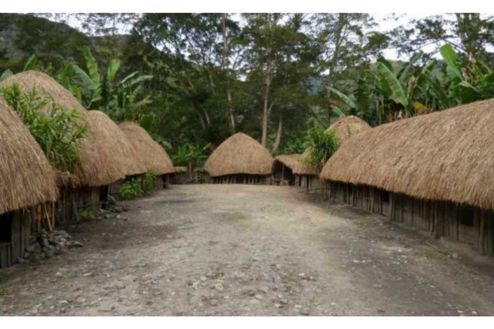 Deretan Rumah Adat Papua beserta Nama, Keunikan, Ciri-ciri, dan Gambarnya