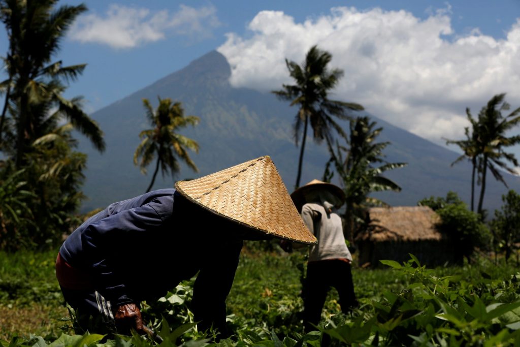 Strategi Pengembangan Agrikultur di Indonesia Ekofarming, Distribusi Pupuk dan Irigasi