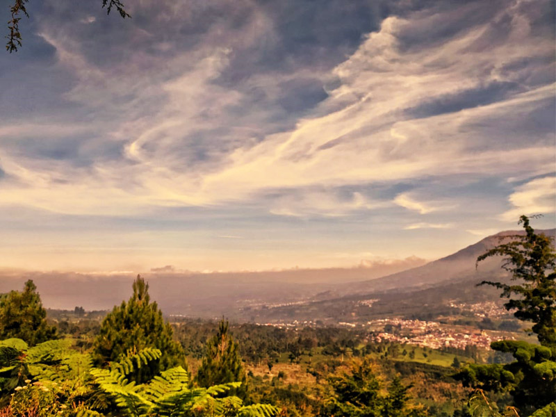  Bukit Setalang ﻿