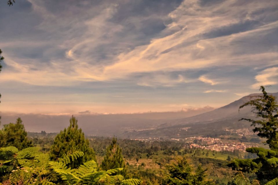 Wisata Untuk Menikmati Suasana Malam Hari di Dieng yang Mempesona