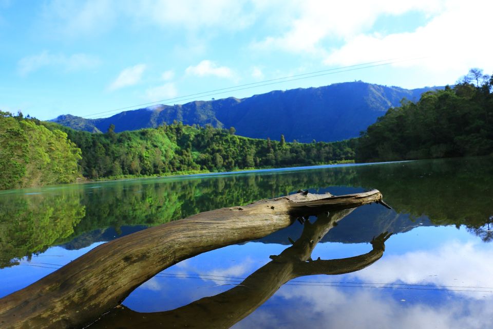 Wisata Untuk Menikmati Suasana Malam Hari di Dieng yang Mempesona