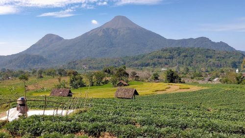 10 Tempat Wisata Trawas Mojokerto Dan Sekitarnya Yang Sedang Hits