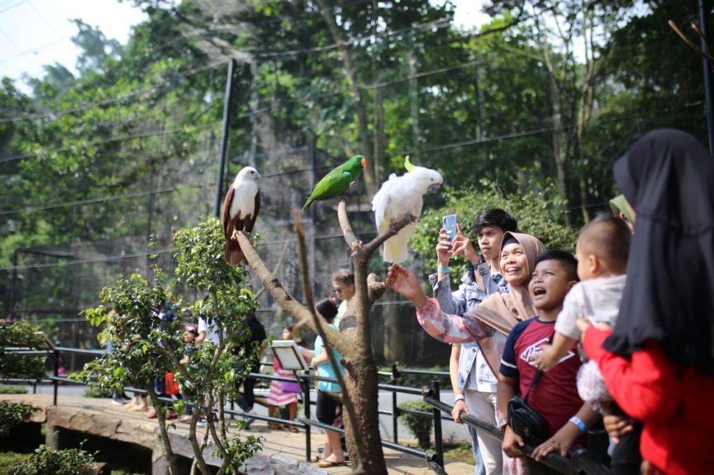 Kebun Binatang Bandung 2023 untuk Wisata Bareng Keluarga dan Anak Lengkap dengan Harga Tiketnya
