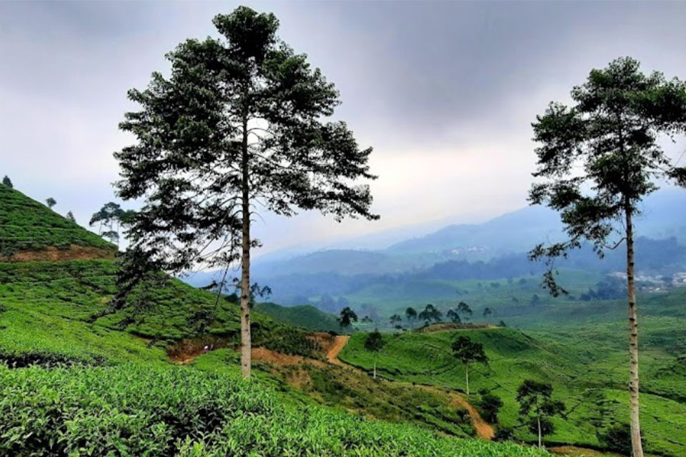 tempat wisata di sekitar puncak bogor