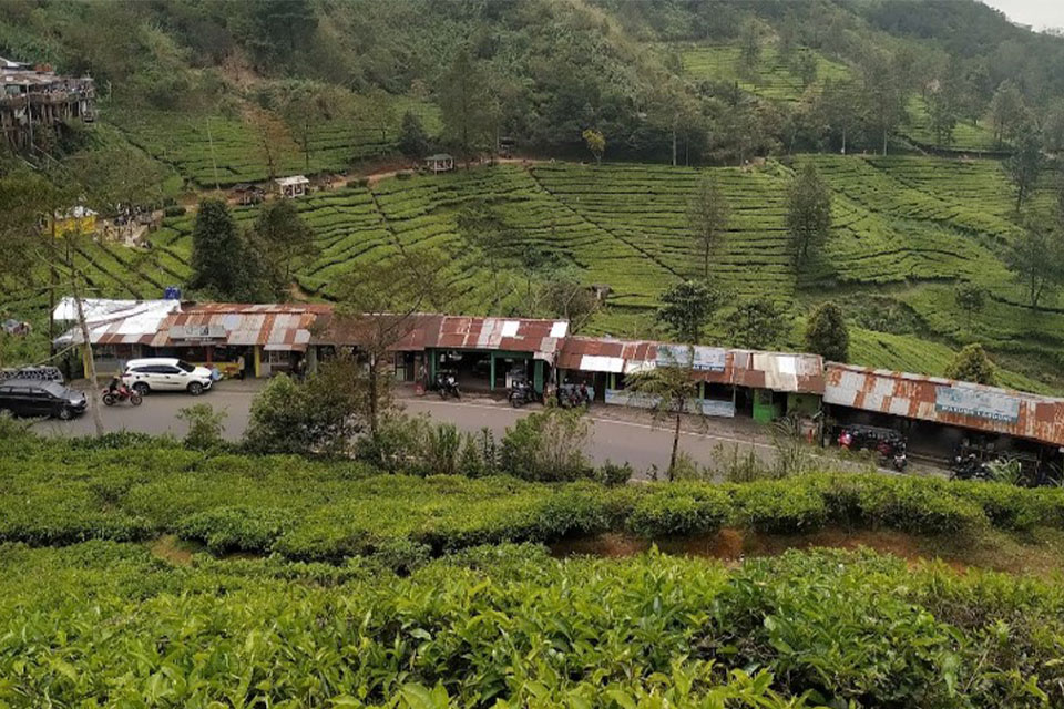 Tempat Wisata di Sekitar Puncak Bogor