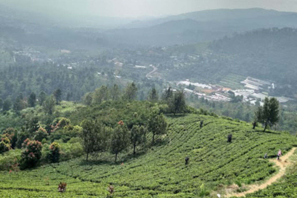 tempat wisata di sekitar puncak bogor