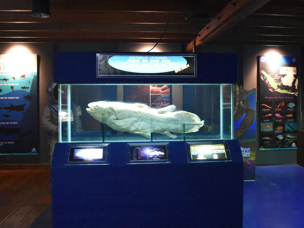 9. Museum Misteri Kehidupan Laut Dalam