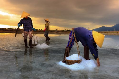 Proses Pembuatan Garam Merupakan Perubahan Wujud Benda dalam Bentuk? Berikut Penjelasannya