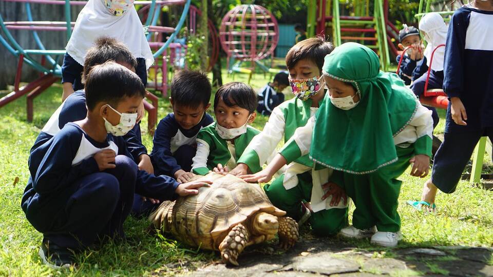 ﻿5 Tempat Kebun Binatang yang Ada di Jogja Untuk Edukasi Anak yang Seru dan Bikin Si Kecil Senang 2023